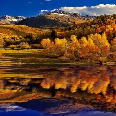 开博体育官方app下载