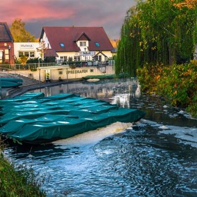 星空app官方网页